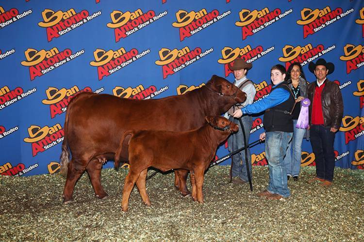MBJ Lilly 225C2
Cow Pair Champion / Campeóna Vaca Con Cria
San Antonio Stock Show & Rodeo